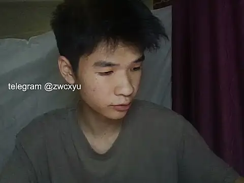 zwc 网络视讯表演