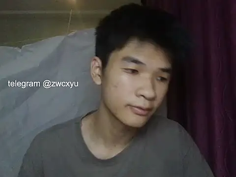 zwc Show Webcam