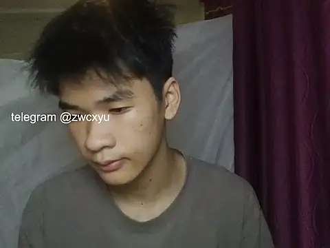 عرض كام zwc