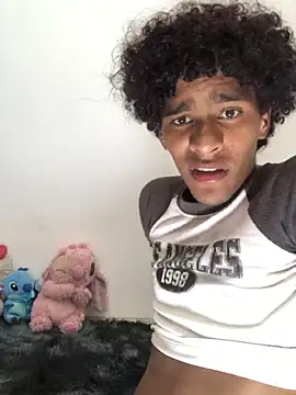 Show webcam de Evans_Femb