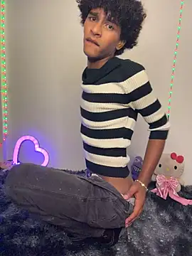 Show Webcam de Evans_Femb