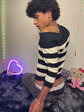 Evans_Femb webcam show