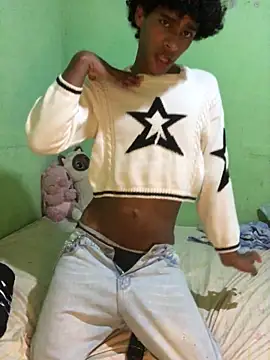 Evans_Fembn Webbikameraesitys