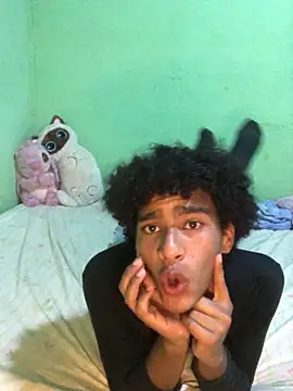 Show Webcam de Evans_Femb