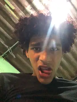 Evans_Fembn Webbikameraesitys