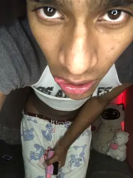 Evans_Fembのウェブカメラショー