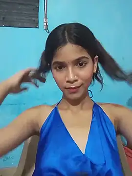 HIE-JANVI Webcam-Show