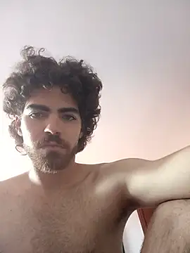 Show webcam de TheAgentVisage