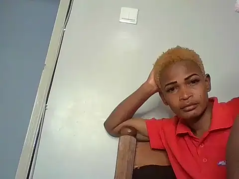 Show webcam de Smiley2540