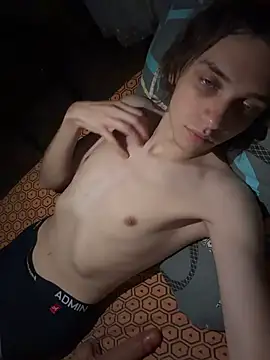 Fillip_Kotn Webbikameraesitys