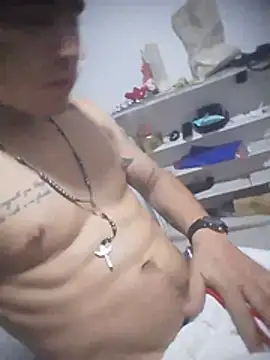 Show de Stiwartss na webcam