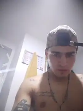 Show de Stiwartss na webcam