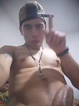 Stiwartss Webcam show