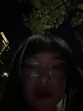 xianyu-ss Show Webcam