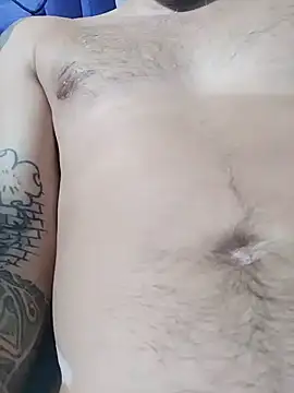 Vantairen Webbikameraesitys