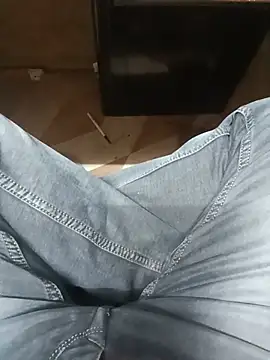 Slavehorse's Webcam Show