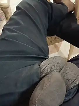 Slavehorse Show in webcam