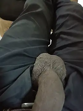 Slavehorse 웹캠 쇼
