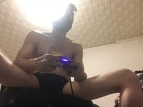 xuckype Webcam-Show