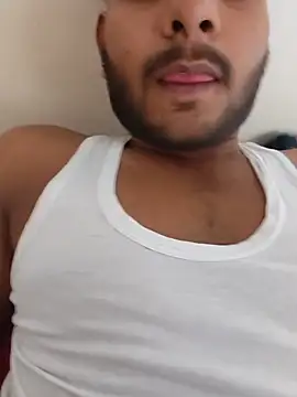 Bull_young2 Show in webcam