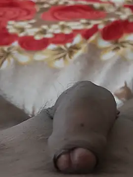 Show de Bull_young2 na webcam