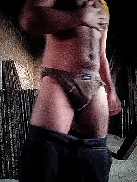 v310 Webcam-Show