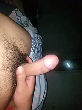 Show modela CdDavid2 na web-kameri