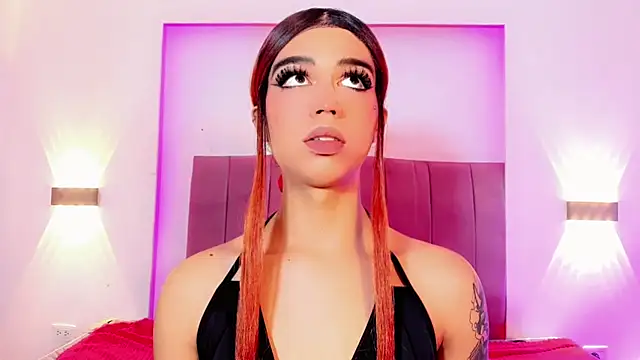 Steicy_sweetn Webbikameraesitys