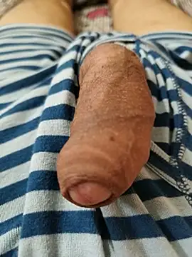 PANDATJI131 Show Webcam