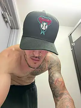 LueVille6n Webbikameraesitys