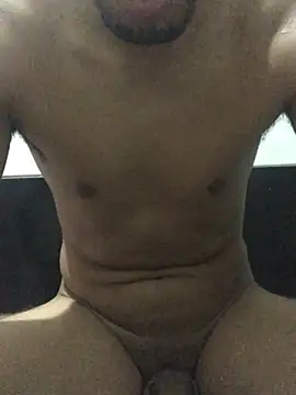 Show webcam de PicaD762