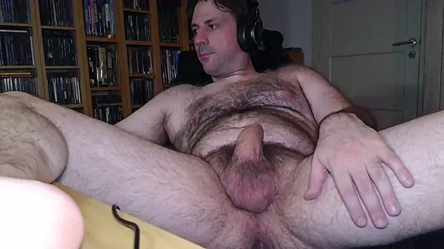 Show webcam de Wildheartedly