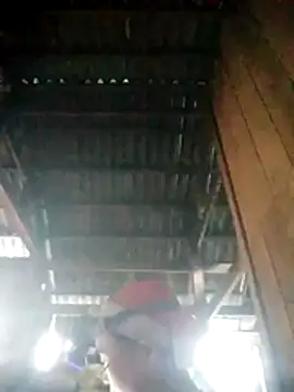 Sumo-y's Live XXX Chat