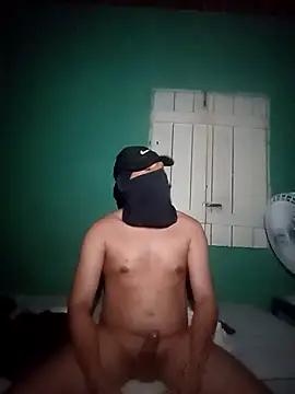 Dsel21 Show Webcam