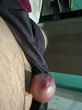 Dsel21 Webcam-Show
