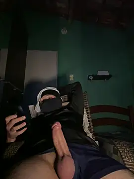 Dsel21 Webcam-Show