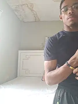 Princip-0005 Webcam-Show