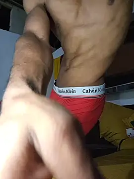 Princip-0005 Show in webcam