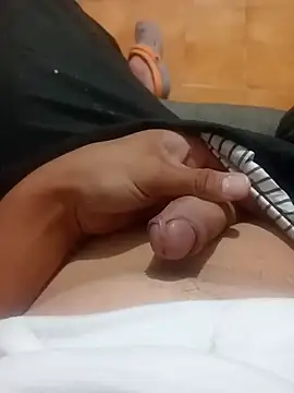 Pertunjukan Kamera Web gossamer3413