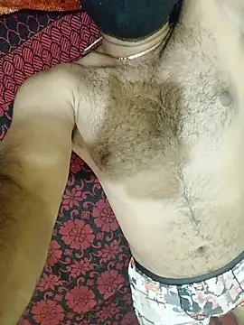 Show webcam de F4U