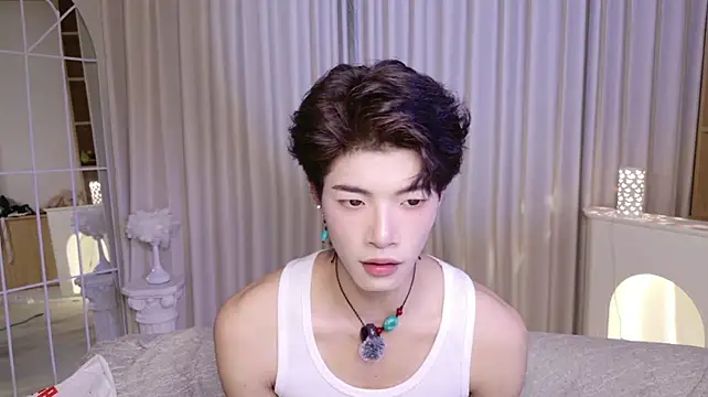 RenZeng Show Webcam
