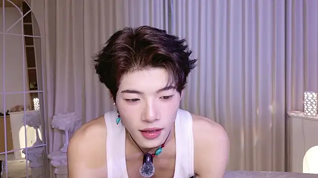 Show Webcam de RenZeng