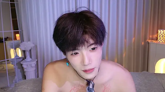 Show Webcam de RenZeng
