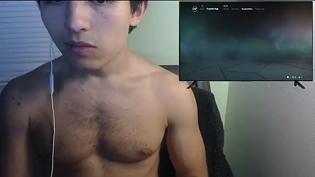 the1invisibleboy Webcamshow