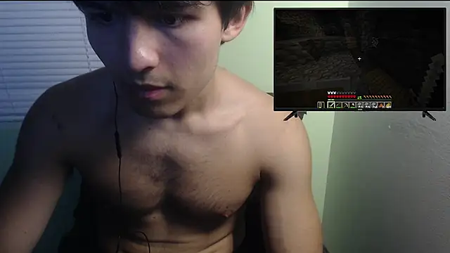 the1invisibleboy Webcam-Show