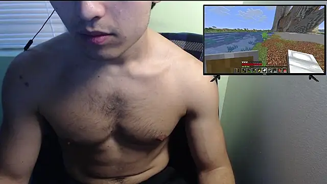 the1invisibleboy Webcam-Show
