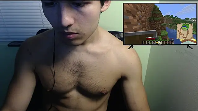 הופעת וובקאם של the1invisibleboy