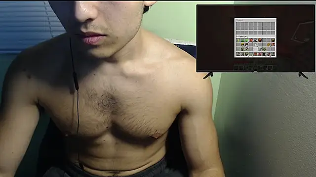 the1invisibleboyn Webbikameraesitys