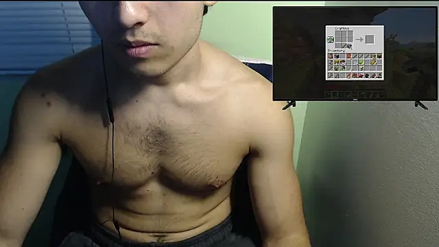 Show webcam de the1invisibleboy