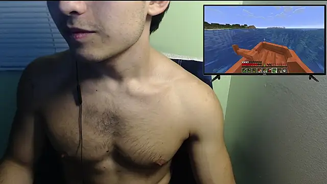 הופעת וובקאם של the1invisibleboy